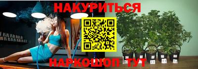 крисы Лесосибирск