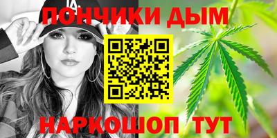крисы Лесосибирск